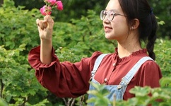 原创办公室[50p][12p]